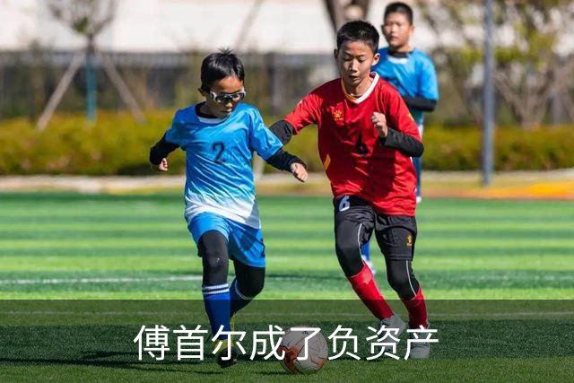 傅首尔成了负资产
